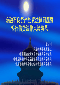 (敬云川)金融不良资产处置法律问题暨银行信贷法律风险防范2