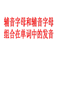 辅音和辅音字母组合的发音