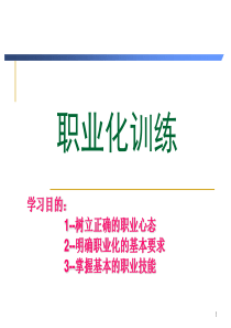 职业化训练课程