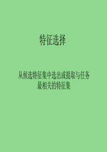 特征选择