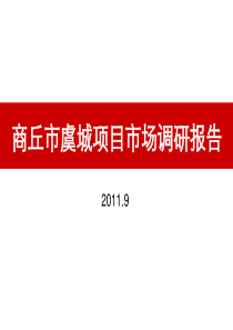 河南商丘市虞城项目市场调研报告