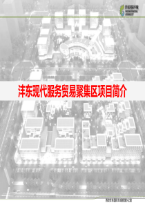 沣东现代服务贸易聚集区项目简介