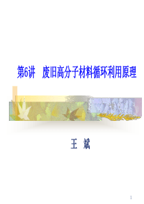 安徽理工大学 聚合物的回收利用 课件-----第6讲 废旧高分子材料循环利用原理