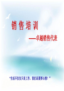 卓越销售代表