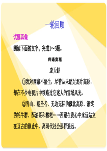 高考语文复习文意概括题