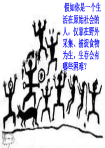 第2课-文明入口的氏族村落