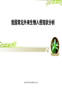 中国入侵植物现状分析