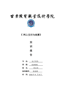 网上支付与结算实训报告
