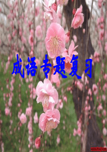 高考成语专题复习课件课件