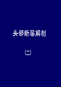 人体断层解剖学-头部断层解剖2