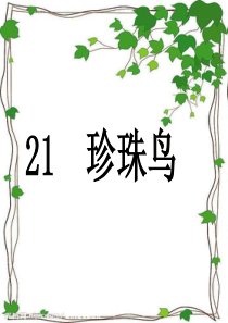 小学语文五年级上册《珍珠鸟》课件