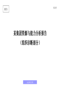 某集团资源与能力分析报告