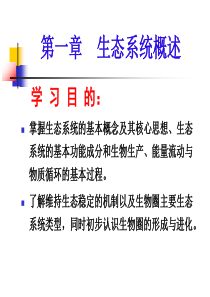海洋生态学-第1章-生态系统概述