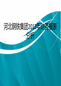 河北钢铁集团2012年财务报表分析