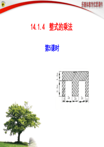 8单项式除以单项式