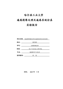 遥感图像处理实验docx