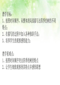 四季的树
