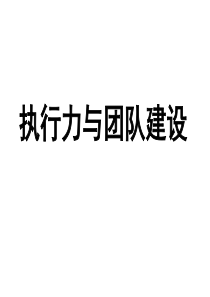 执行力与团队建设(精)