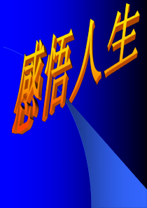 感悟人生