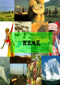 西北地区刘金发
