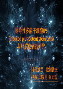 IPS与肝脏