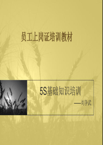 5S基础知识培训
