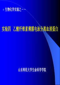 实验4 乙酸纤维素薄膜电泳分离血清蛋白