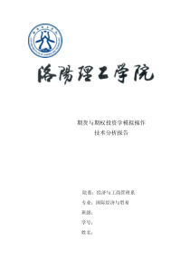 期货的技术分析报告