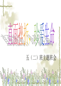 直面挫折,珍爱生命主题班会PPT