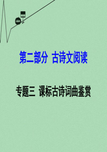 【湖南中考面对面】2016年中考语文 第二部分 古诗文阅读 专题3 课标古诗词曲鉴赏复习课件 新人教