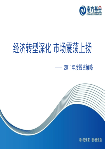 2011年度投资策略报告
