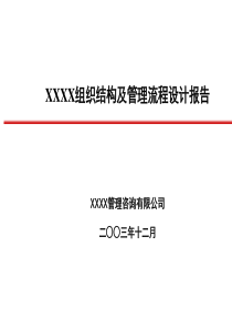 北大纵横--XX公司组织结构及管理流程设计报告.