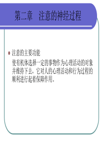 生理心理学 第二章 注意的神经过程