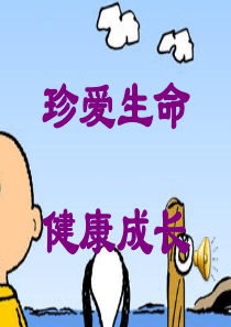 《珍惜生命-健康成长》主题班会ppt课件