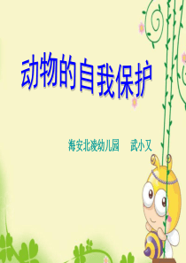 幼儿园大班科学活动：动物的自我保护