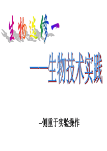 1-1 果酒的制作