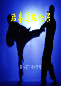 体育跆拳道