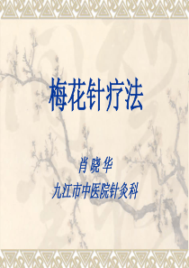 梅花针疗法