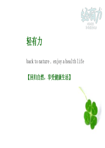 轻有力谷物营养膳食冲调粉--产品介绍