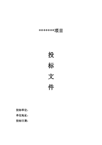 投标书版本、格式