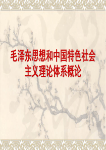 中国特色社会主义理论体系概论