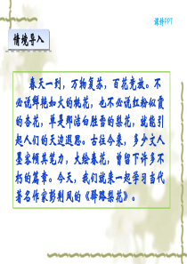 《驿路梨花》优秀课件公开课剖析