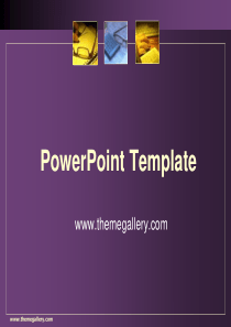 WPS最新演示模板―紫色简单