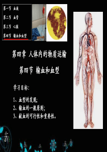 4.4输血和血型 人教版 七年级下册 生物 课件