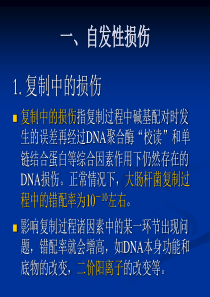 最新第十一章DNA损伤,修复和基因突变-PPT文档