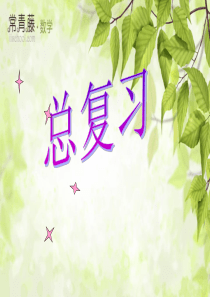 人教版五年级下册数学总复习