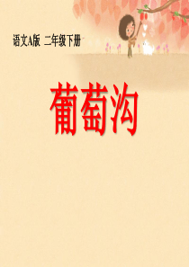 《葡萄沟》 精品PPT课件12