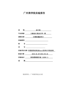 计算机辅助审计论文
