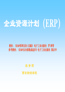 ERP原理与实施(k)