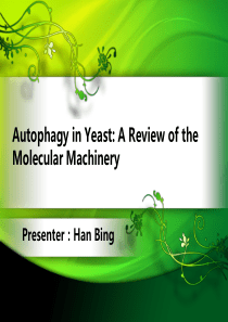 自噬的研究进展